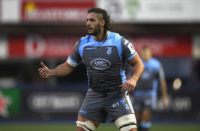 Cardiff Blues flanker Josh Navidi