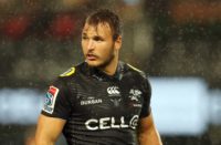 Andre Esterhuizen has signed for Harlequins