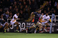 Newcastle Falcons No.8 Mark Wilson