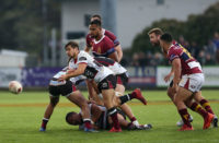 Harlequins have signed Lewis Gjaltema