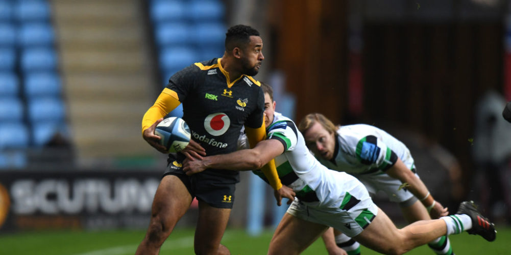 Wasps v Newcastle Falcons