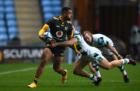 Wasps v Newcastle Falcons