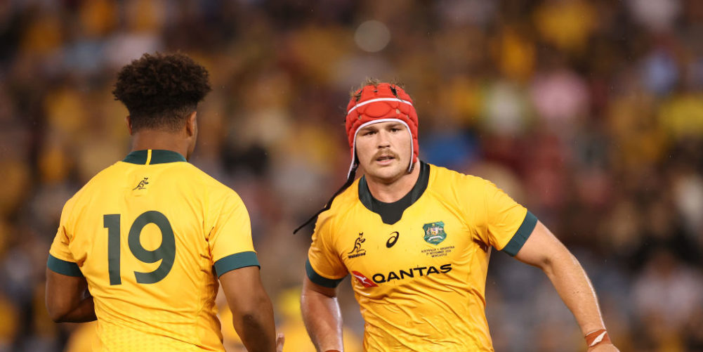 Wallabies back row Harry Wilson