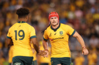 Wallabies back row Harry Wilson