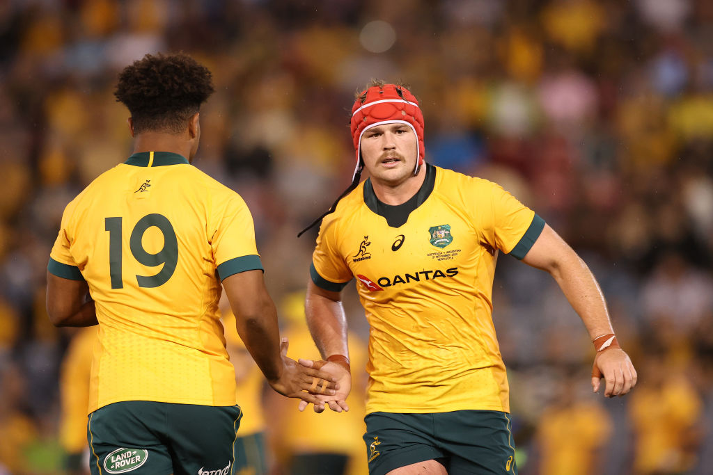 Wallabies back row Harry Wilson