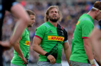 Harlequins flanker Luke Wallace