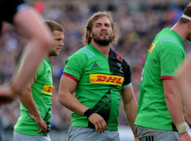 Harlequins flanker Luke Wallace