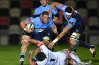 Cardiff Blues prop Corey Domachowski