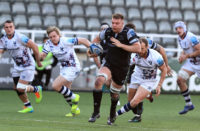 Newcastle Falcons back row Callum Chick