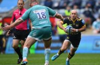 Wasps scrum-half Dan Robson