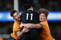 Wallabies lose to All Blacks