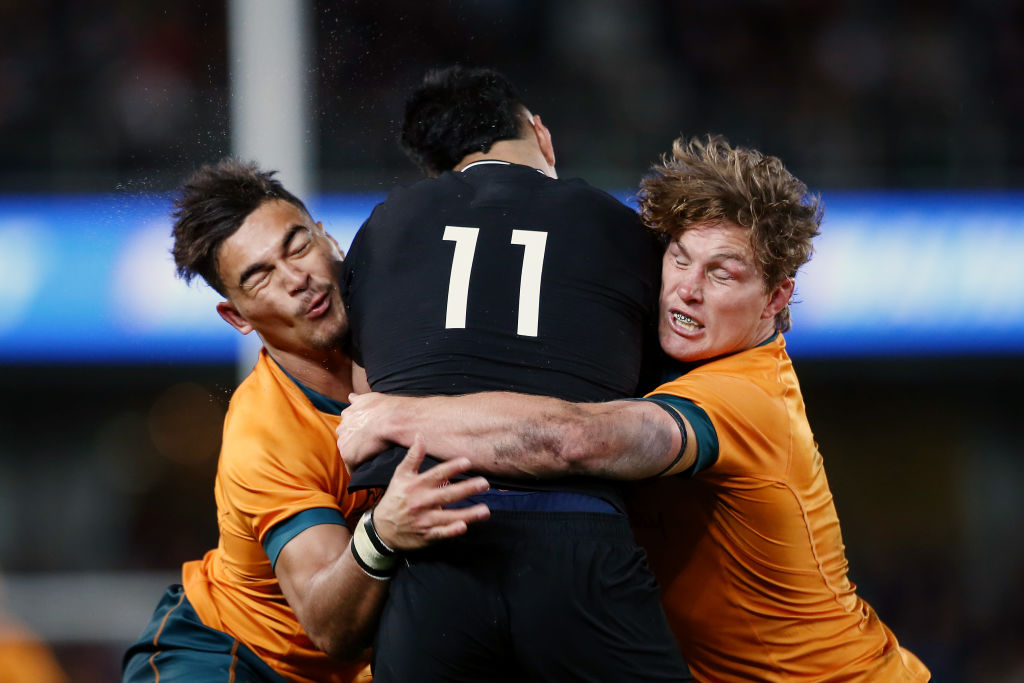 Wallabies lose to All Blacks