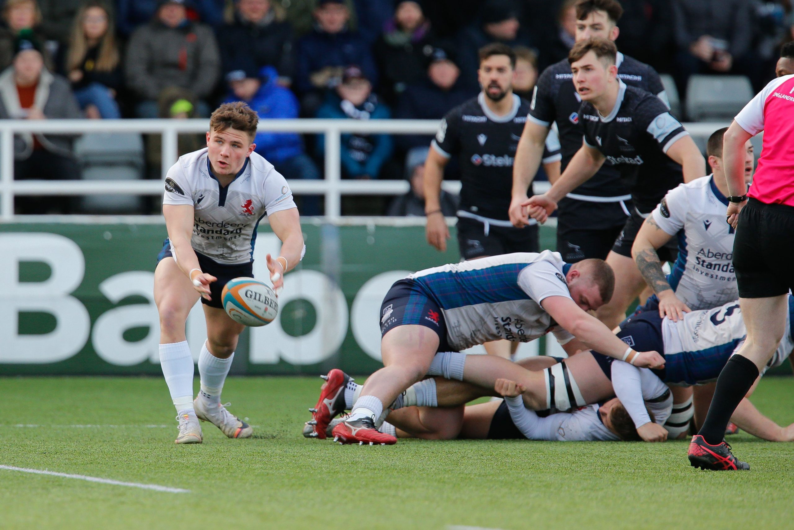 New Year game dates confirmed - Newcastle Falcons