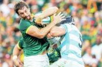 Springboks lock Eben Etzebeth