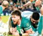 Battling Argentina make it tough for Ireland